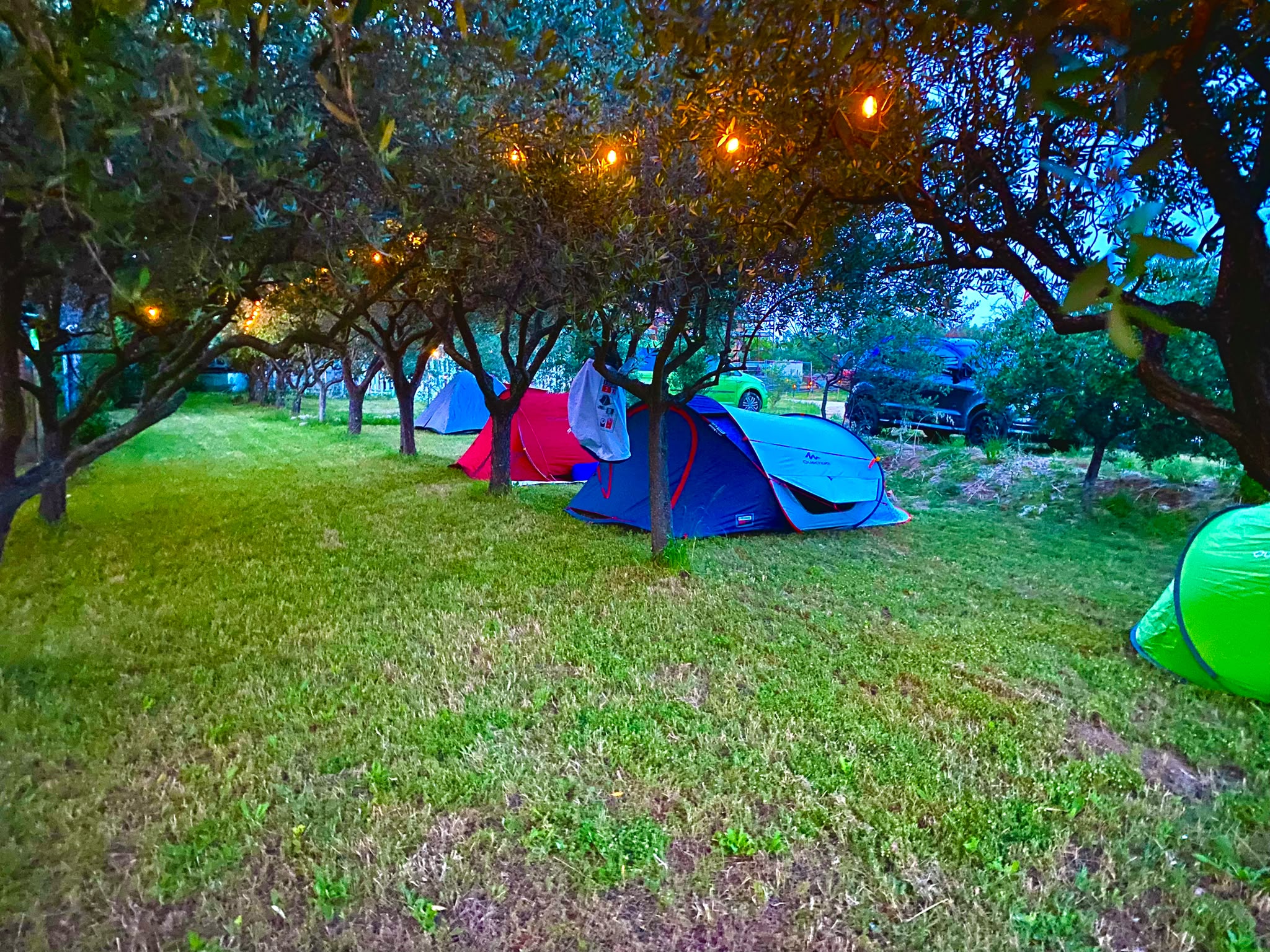 Piazzola tende sotto gli ulivi secolari del Ranch